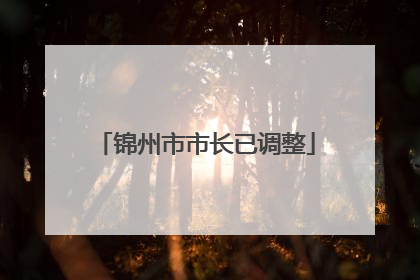 锦州市市长已调整